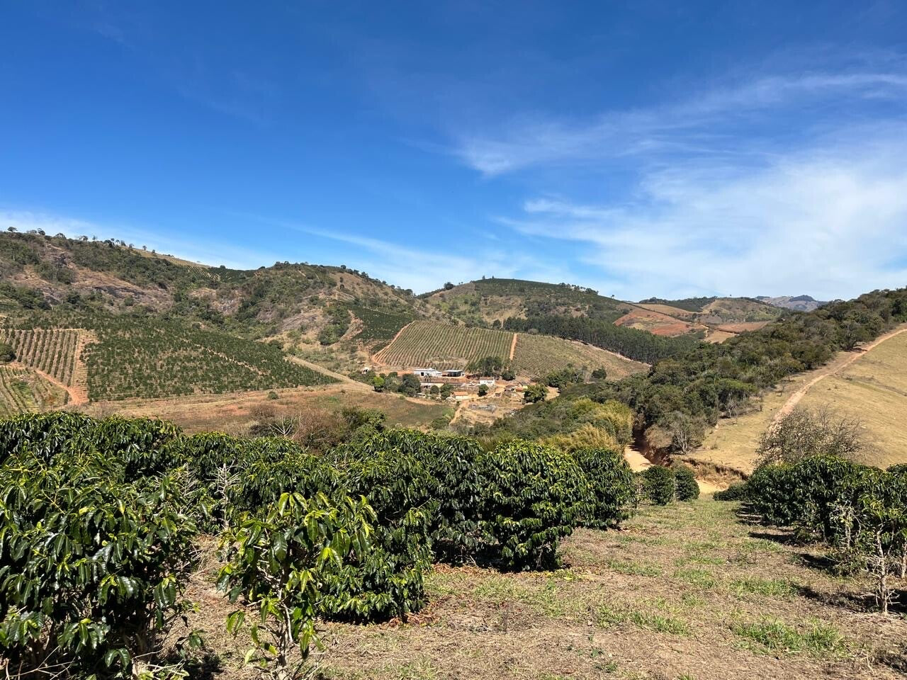 A scenic landscape of rolling hills and vineyards under a bright blue sky with light clouds, featuring green vegetation in the foreground and distant farm structures.