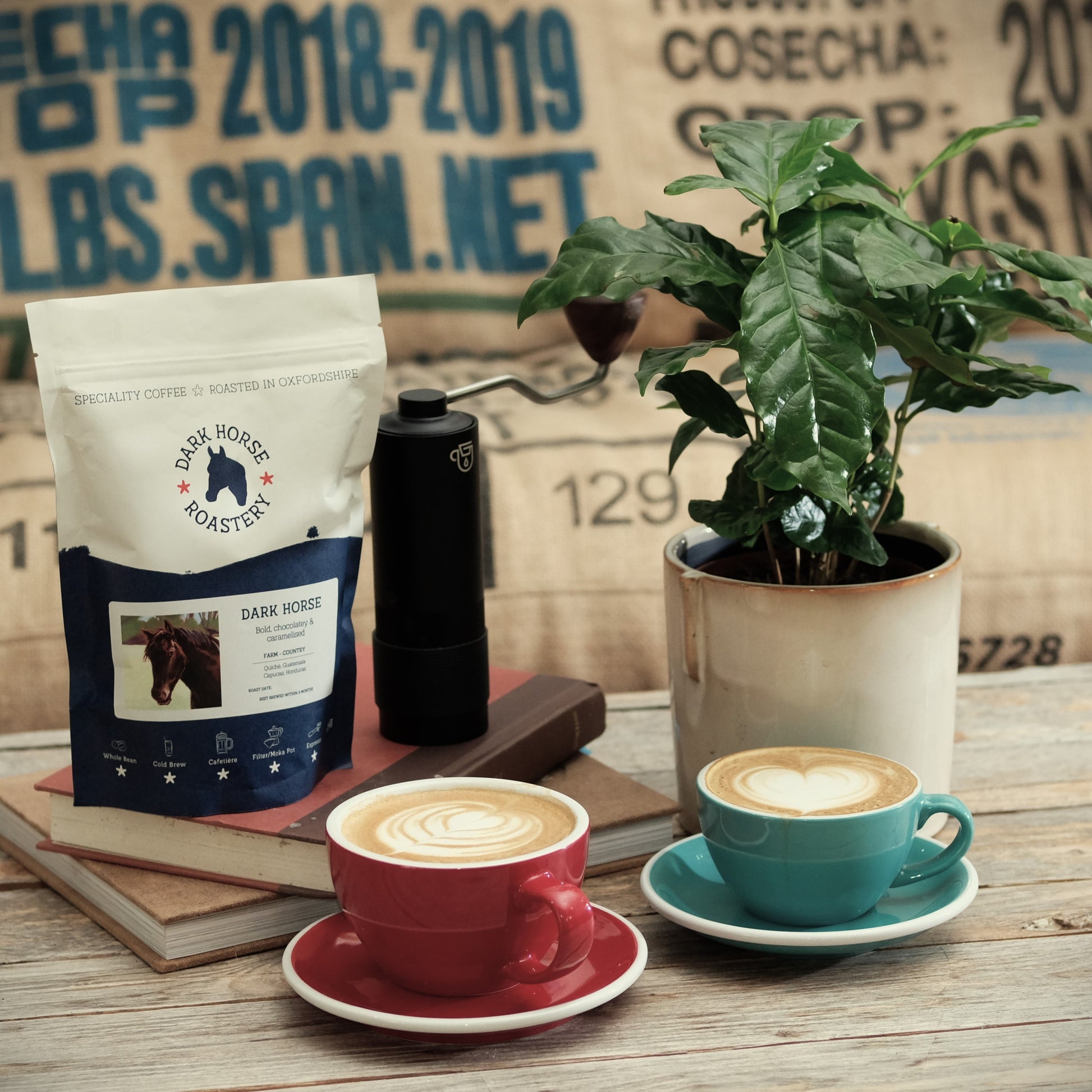 Coffee beans subscription and freshly brewed coffee