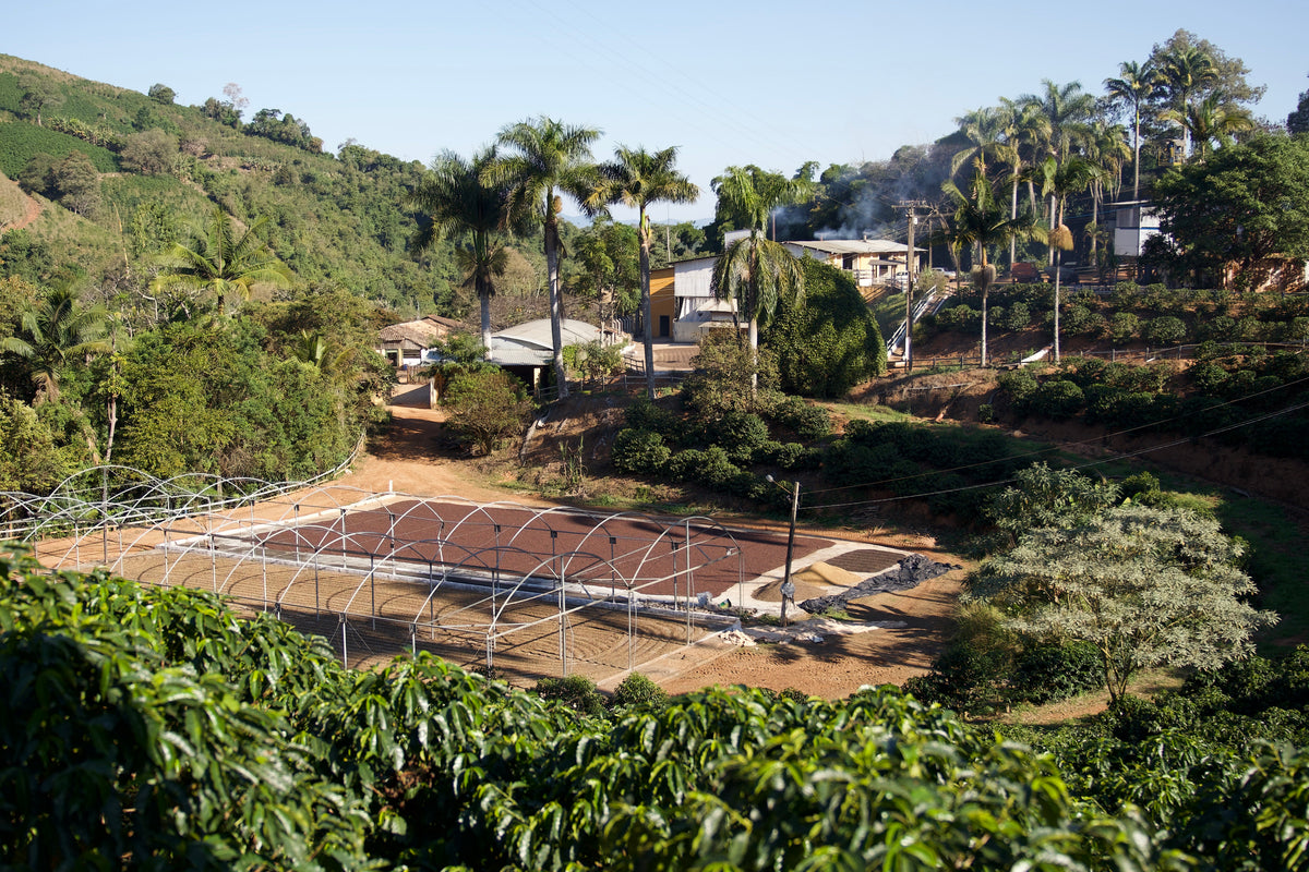 Fazenda das Almas