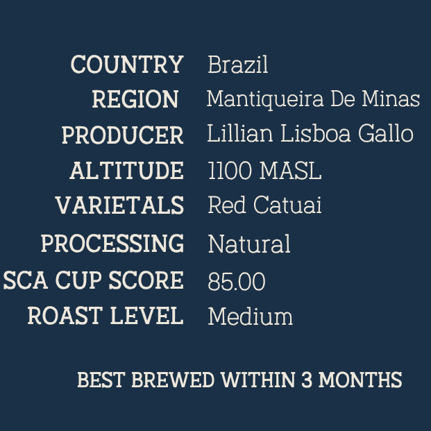 A dark blue informational graphic with white text listing product details: Country Brazil, Region Mantiqueira De Minas, Producer Lillian Lisboa Gallo, Altitude 1100 MASL, Varietals Red Catuai, Processing Natural, SCA Cup Score 85.00, Roast Level Medium, and Best Brewed Within 3 Months.