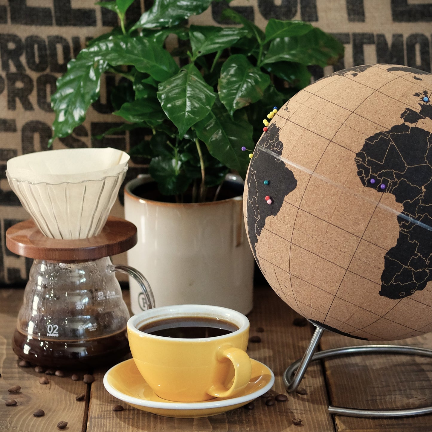 Globetrotter coffee bean subscription 