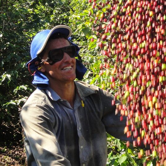 Fazenda das Almas