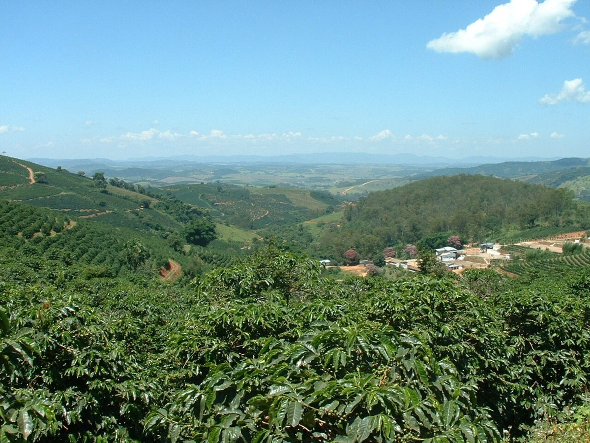 Fazenda das Almas