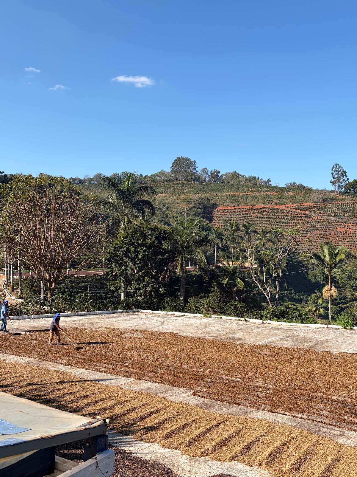 Fazenda das Almas