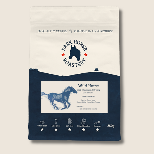 Wild Horse